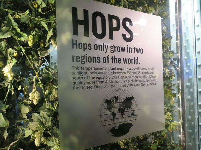 Хмель в музее пива Гинесс