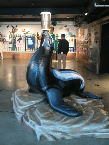 Тюлень с пивом Гинесс