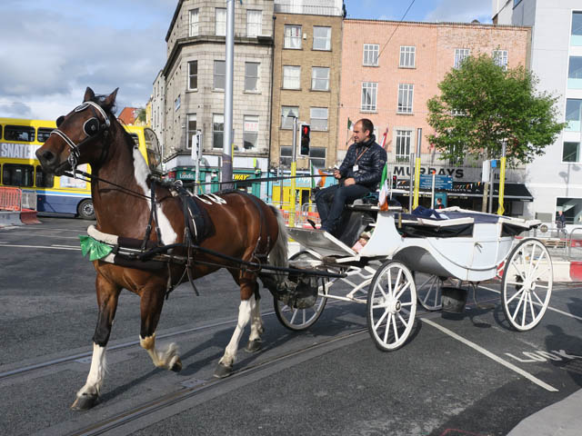 Телега с лошадью в Дублине