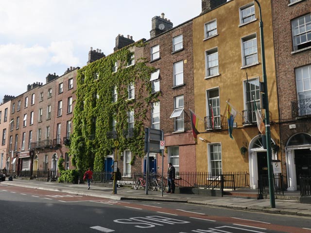 Дом с вьющимися растениями