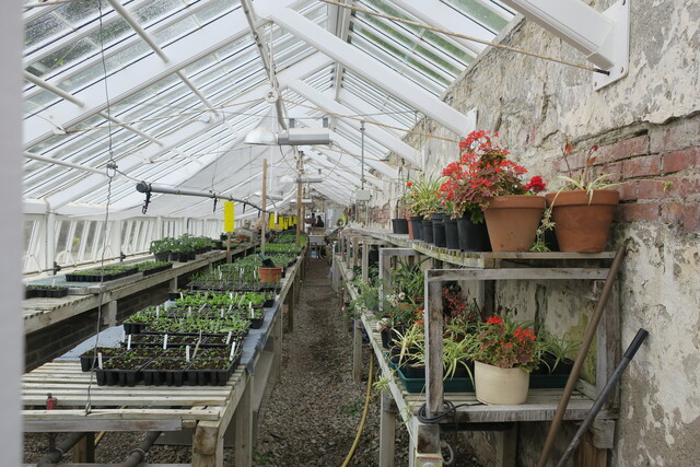 Теплица в саду при аббатстве