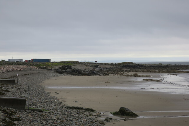 Лошадь пасётся на берегу океана