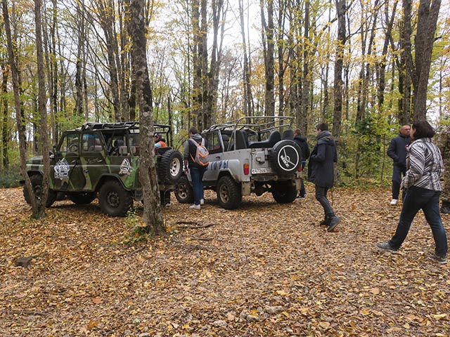Три джипа на поляне