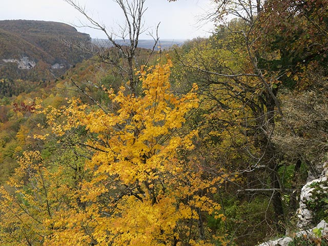 Вид на горы