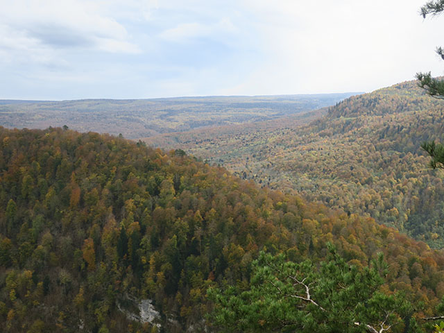 Вид на горы