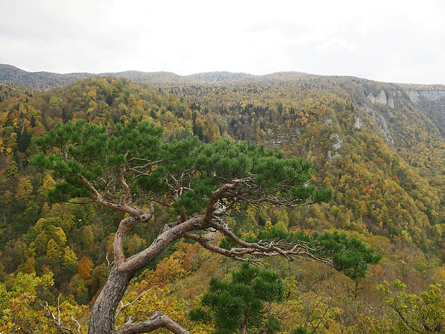 Вид на горы