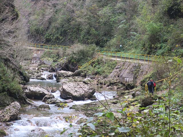 Каньон Курджипса