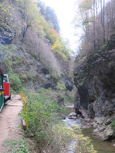 Каньон Курджипса