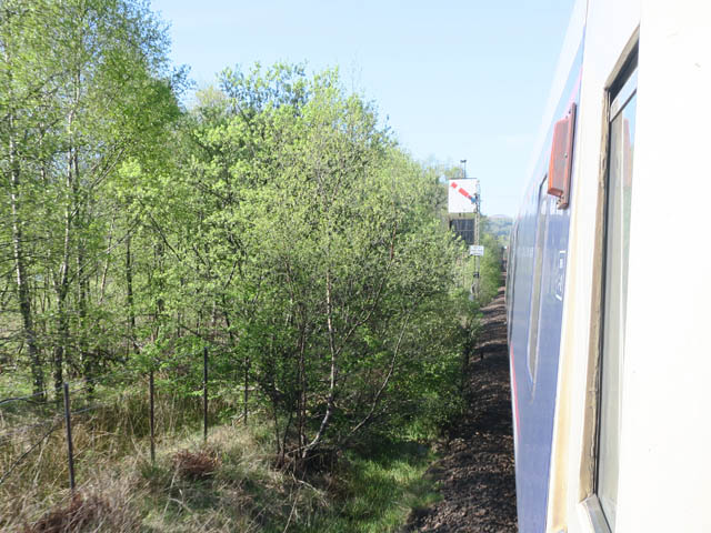 Входной семафор станции Fort William