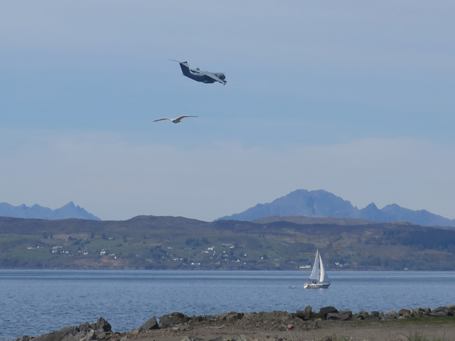 Чайка, самолёт и парусная лодка