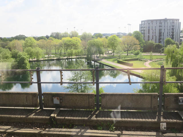 Городской пейзаж с прудом и деревьями