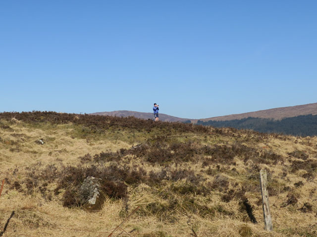 Кто-то фотографирует поезд