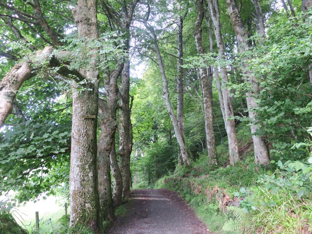 Тропа к замку Dunollie