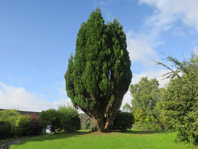 Внутри башни Маккейга