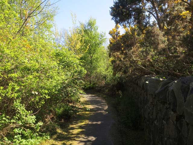 Живописная тропинка