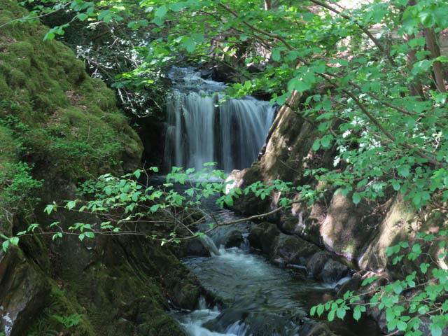 Пороги на речке